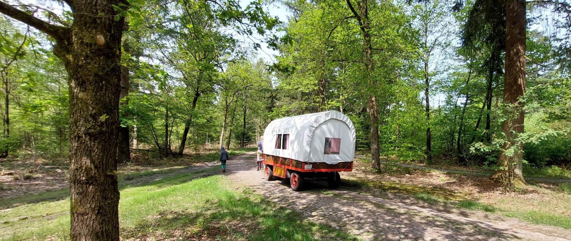 Villa Mooi Drenthe Wezuperbrug Exterior foto